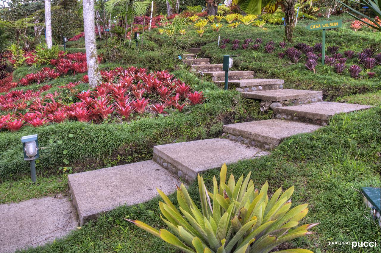Estacion Biologica Las Cruces Y Jardin Botanico Wilson San Vito Exterior photo