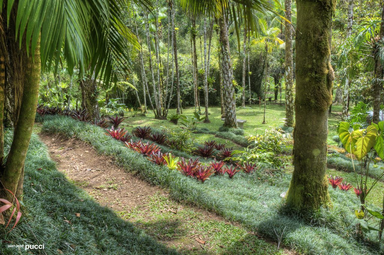 Estacion Biologica Las Cruces Y Jardin Botanico Wilson San Vito Exterior photo
