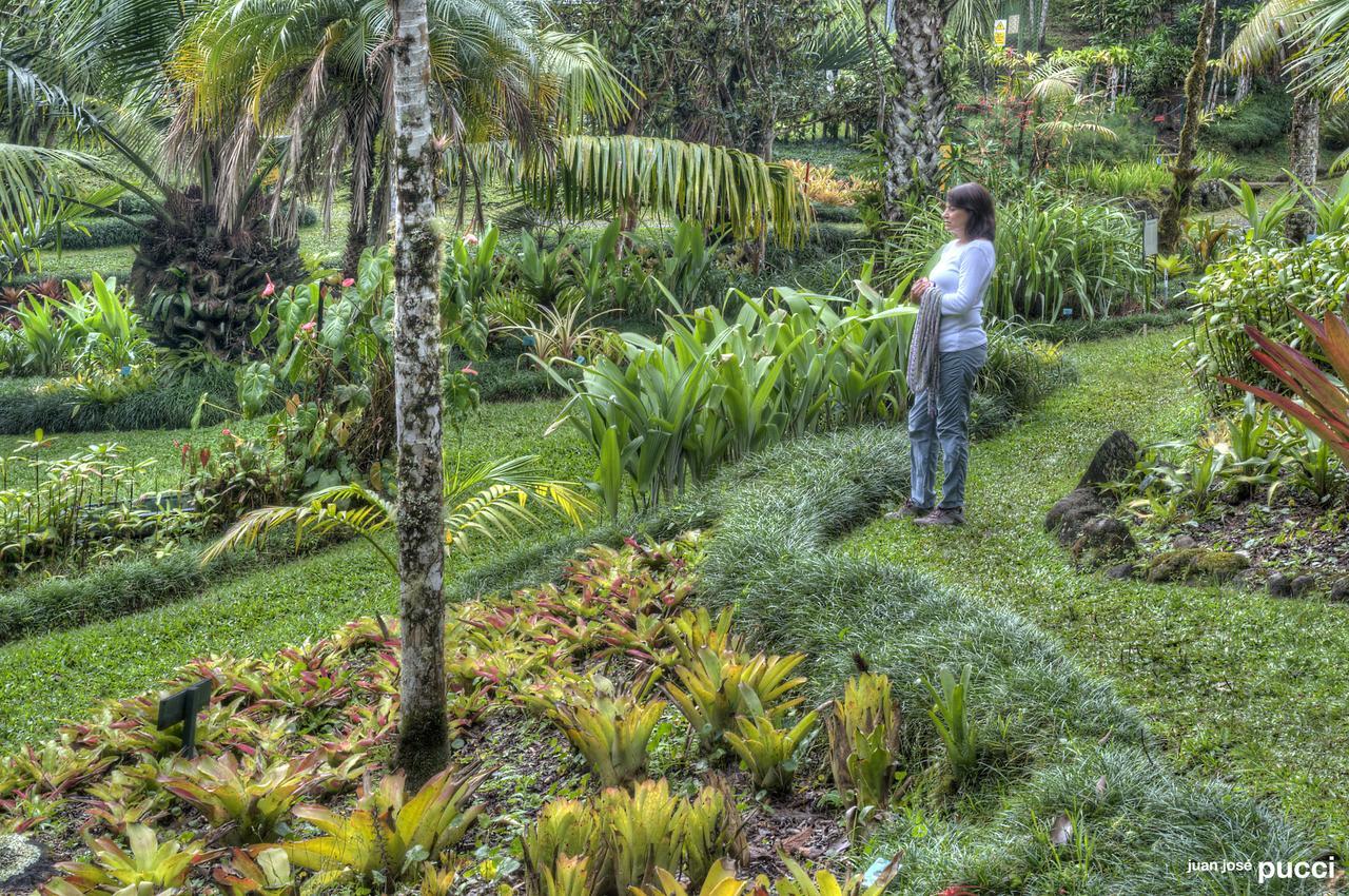 Estacion Biologica Las Cruces Y Jardin Botanico Wilson San Vito Exterior photo