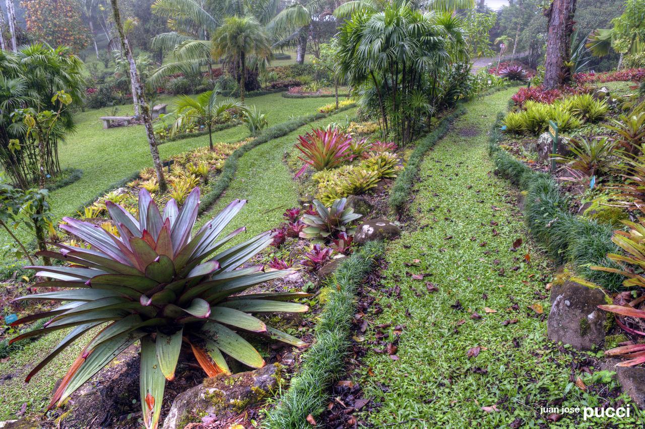 Estacion Biologica Las Cruces Y Jardin Botanico Wilson San Vito Exterior photo